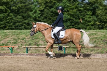 Bild 229 - Pony Akademie Turnier